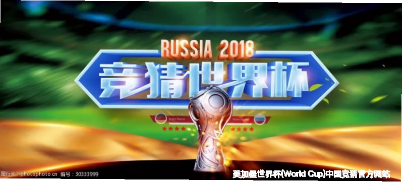 核心团队与专业资质